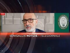 senigallia notizie telegiornale