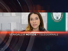 senigallia notizie telegiornale