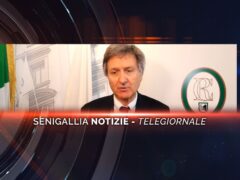 senigallia notizie telegiornale