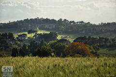 Che bella vista dalla strada del Cavallo - Foto Claudio Cremonesi