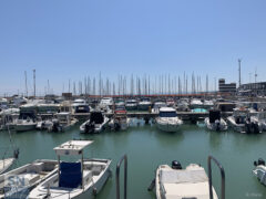 Mattina piena di luce alla nuova darsena - Foto Rossano Morici