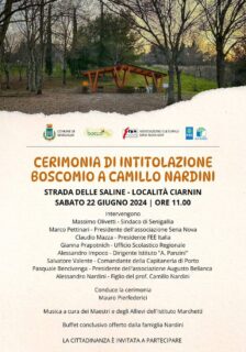 Intitolazione Boscomio a Camillo Nardini