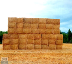 Another hay bale in the wall - Foto Alberto Bertini