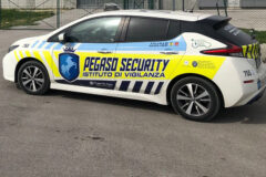 Pegaso Security