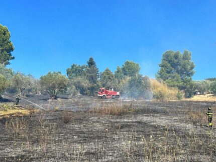 Incendio di sterpaglie a Scapezzano