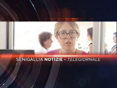 senigallia notizie telegiornale