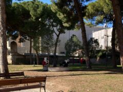 Ombra in un parco pubblico di Senigallia