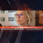 senigallia notizie telegiornale