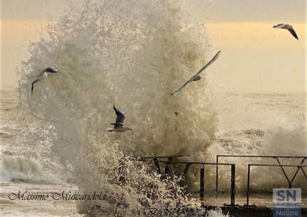 Sua maestà il mare - Foto Massimo Muscaridola