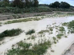 Fiume Misa a Vallone di Senigallia nella prima mattina del 19 settembre 2024