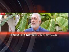 senigallia notizie telegiornale