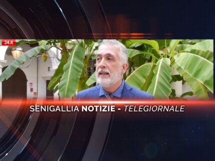 senigallia notizie telegiornale