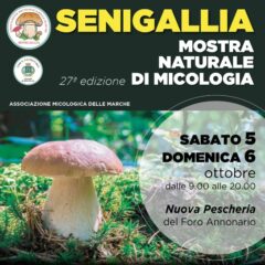 Mostra naturale di micologia a Senigallia