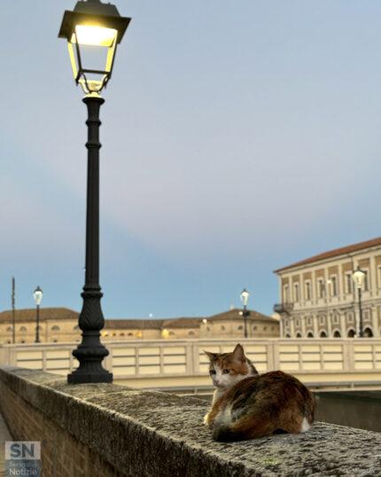 Chi meglio di loro... - Foto Leonardo Marozza