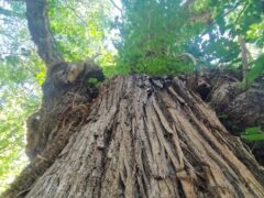 Escursione con Confluenze nell'Appennino perduto