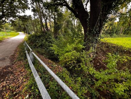 Fosso del Crocifisso in abbandono a Vallone di Senigallia