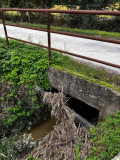 Fosso del Crocifisso in abbandono a Vallone di Senigallia