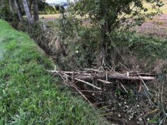 Fosso del Crocifisso in abbandono a Vallone di Senigallia