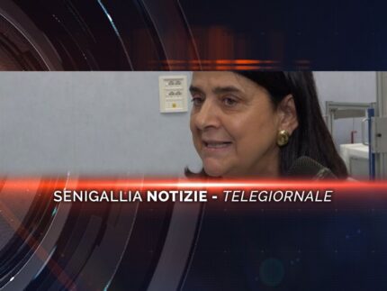 -senigallia notizie telegiornale