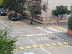 Via Piero della Francesca chiusa al traffico per un albero caduto al suolo