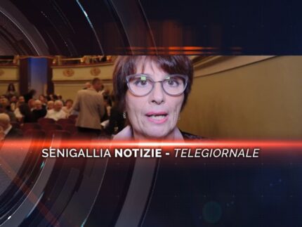 senigallia notizie telegiornale