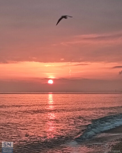 Buongiorno - Foto Barbara Gaboardi