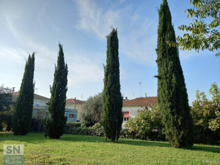 I signori del parco - Foto Antonella Starna