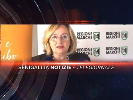 senigallia notizie telegiornale