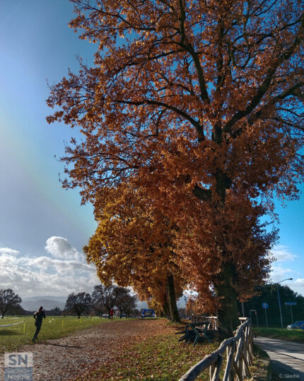 Autumn vibes - Foto Cristina Giachè