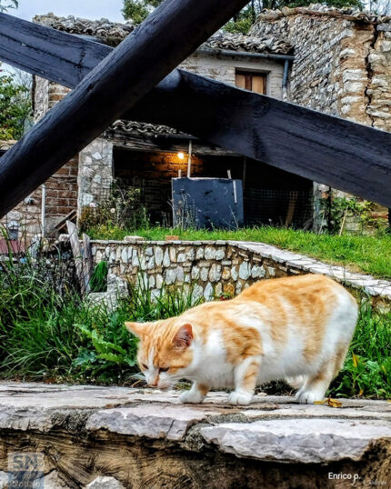 A Elcito o Piccolo Tibet delle Marche - Foto Enrico Petrini