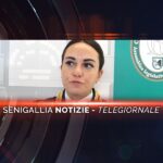 senigallia notizie telegiornale