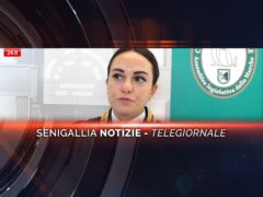 senigallia notizie telegiornale