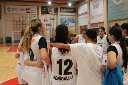 Basket2000 Senigallia