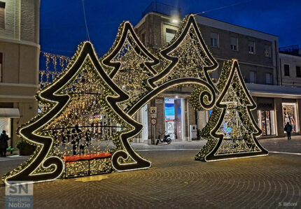 Magia... Alberi in piazza! - Foto Sabina Bittoni