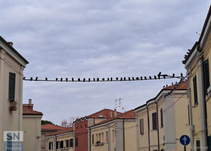 L'attesa - Foto Paolo Formiconi