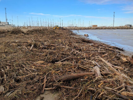 Pulizia spiaggia invasa da detriti dopo la mareggiata