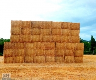 26/06/2024 - Another hay bale in the wall