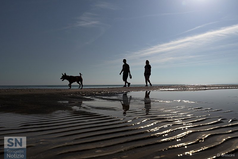 21/05/2024 - Passeggiata in compagnia