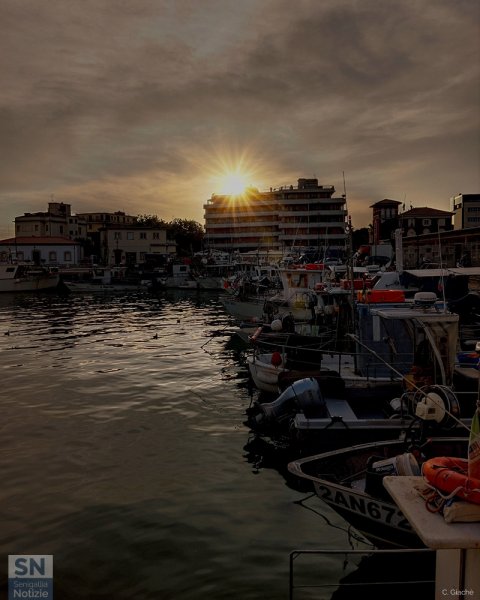 03/11/2022 - Porto Canale Senigallia