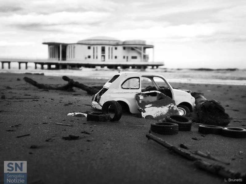 22/11/2022 - Carcassa in spiaggia