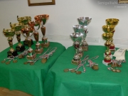 I trofei in palio al Torneo di Scacchi Città di Senigallia