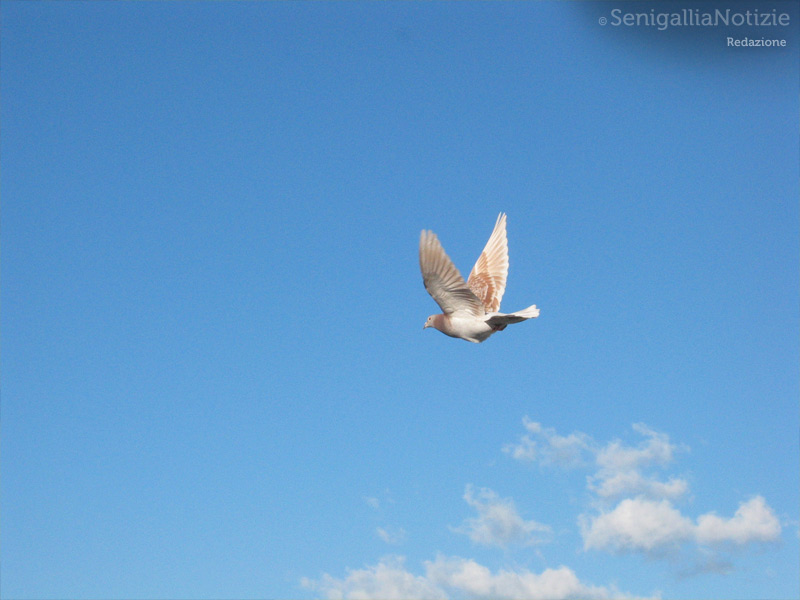 09/04/2012 - Pasquetta in libertà!