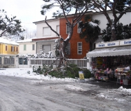 Neve a Senigallia: i disagi in città