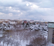 Neve a Senigallia: le foto dei lettori
