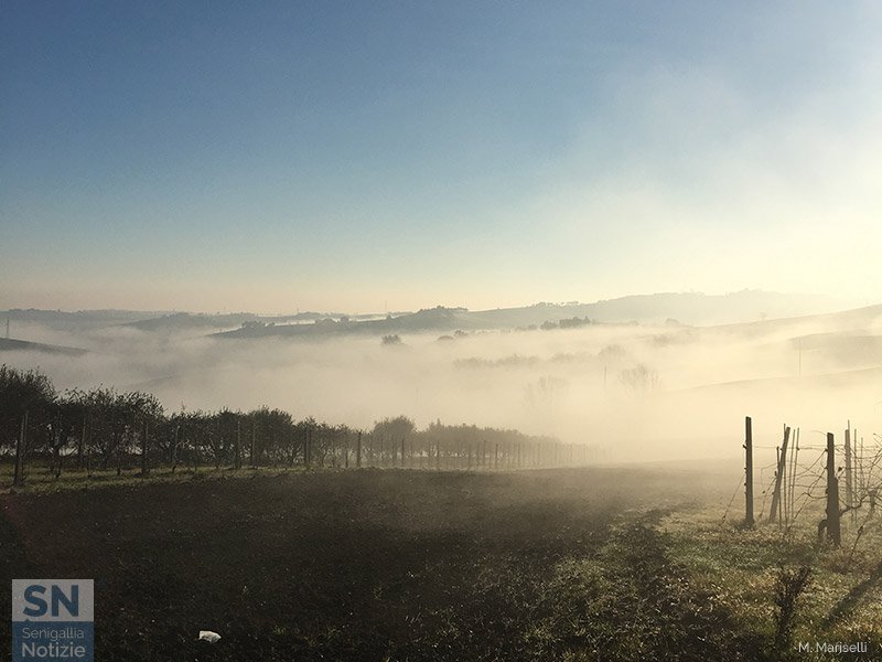 16/01/2016 - La nebbia a gl'irti colli...