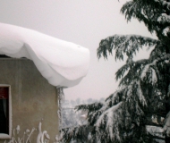 Dai lettori: la maxi-nevicata a Senigallia e nell\'entroterra