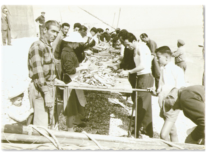 La pulitura del pesce (anni '60)