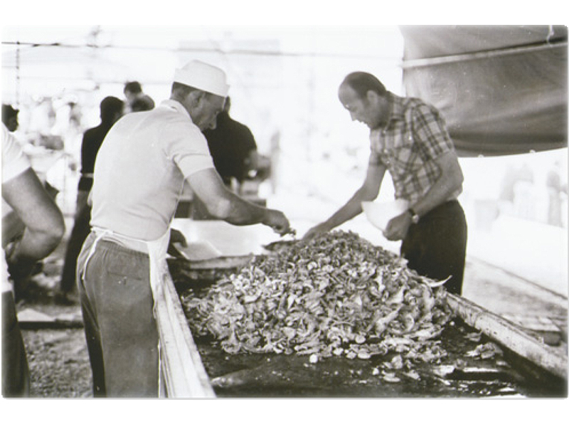 La distribuzione del pesce fritto (anni '70)