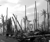 Le Filippine devastate dal tifone Haiyan nelle foto di Gabriele Moroni