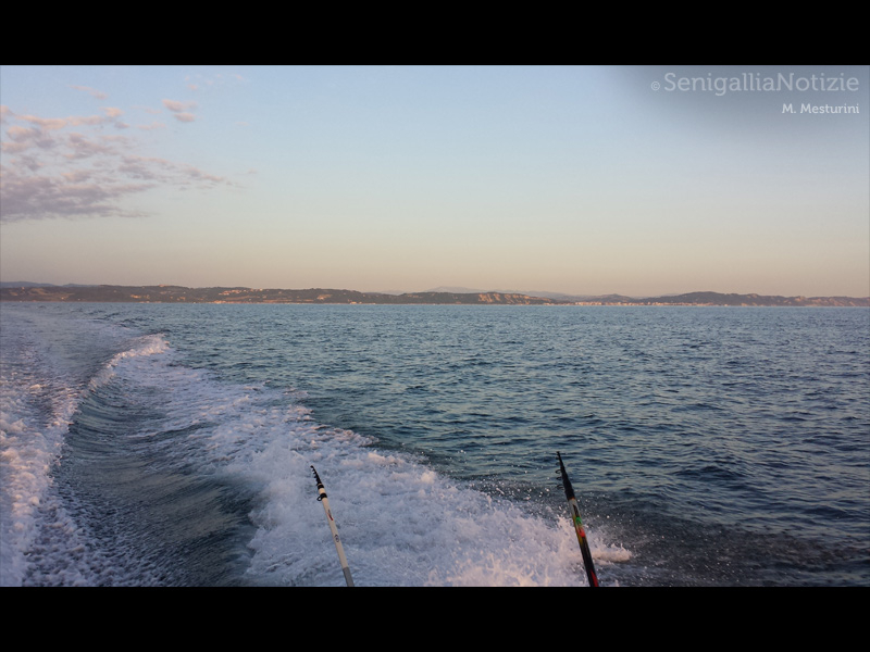 12/07/2014 - Pesca in mare!